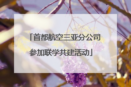 首都航空三亚分公司参加联学共建活动