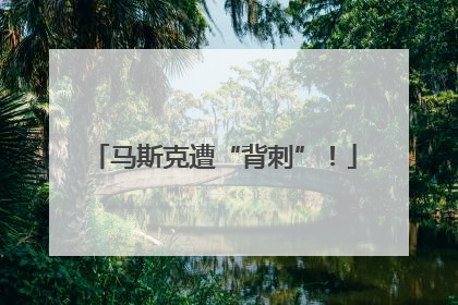 马斯克遭“背刺”！