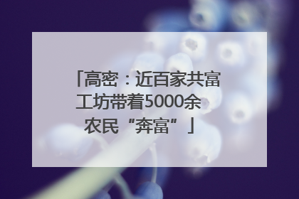 高密：近百家共富工坊带着5000余农民“奔富”