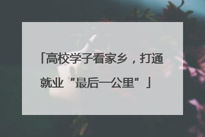 高校学子看家乡，打通就业“最后一公里”