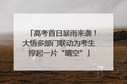 高考首日暴雨来袭！大悟多部门联动为考生撑起一片“晴空”