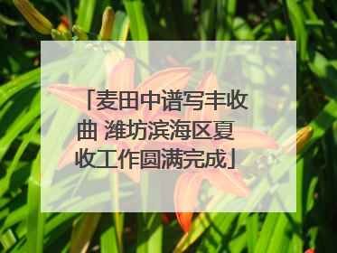 麦田中谱写丰收曲 潍坊滨海区夏收工作圆满完成