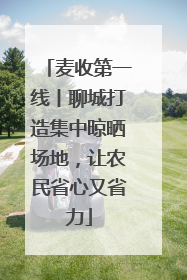 麦收第一线丨聊城打造集中晾晒场地，让农民省心又省力
