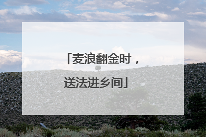 麦浪翻金时，送法进乡间