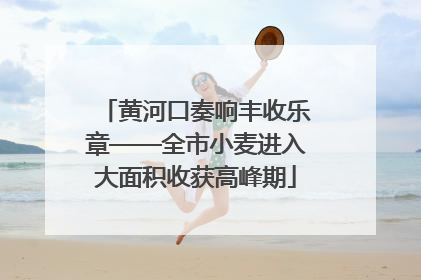 黄河口奏响丰收乐章——全市小麦进入大面积收获高峰期