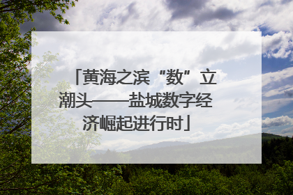 黄海之滨“数”立潮头——盐城数字经济崛起进行时