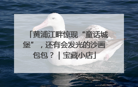 黄浦江畔惊现“童话城堡”，还有会发光的沙画包包？｜宝藏小店