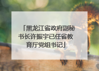黑龙江省政府副秘书长许振宇已任省教育厅党组书记