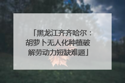 黑龙江齐齐哈尔：胡萝卜无人化种植破解劳动力短缺难题