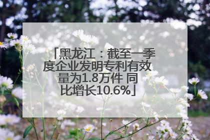 黑龙江：截至一季度企业发明专利有效量为1.8万件 同比增长10.6%