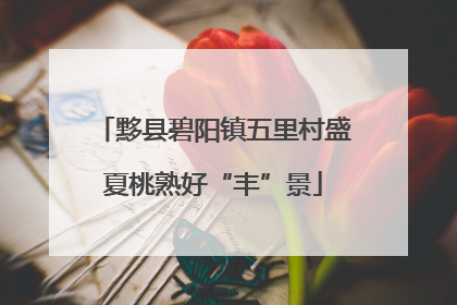 黟县碧阳镇五里村盛夏桃熟好“丰”景
