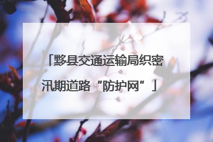 黟县交通运输局织密汛期道路“防护网”
