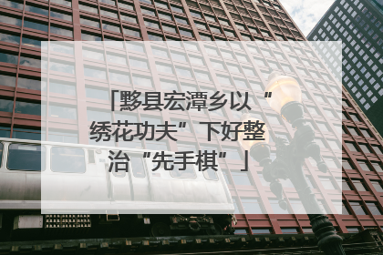 黟县宏潭乡以“绣花功夫”下好整治“先手棋”