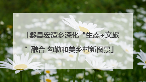 黟县宏潭乡深化“生态+文旅”融合 勾勒和美乡村新图景