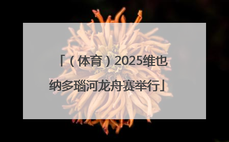 （体育）2025维也纳多瑙河龙舟赛举行
