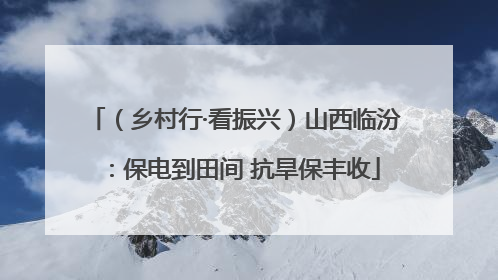 （乡村行·看振兴）山西临汾：保电到田间 抗旱保丰收