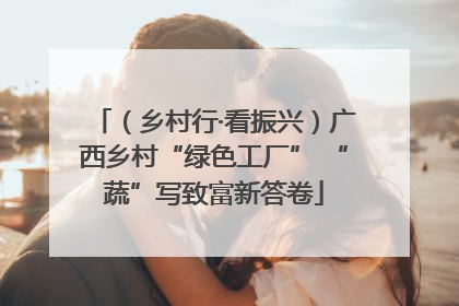 （乡村行·看振兴）广西乡村“绿色工厂” “蔬”写致富新答卷