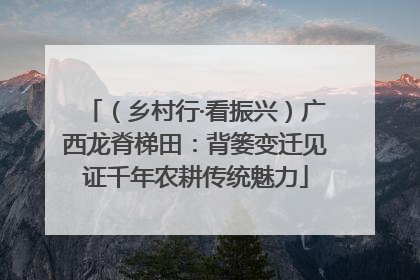 （乡村行·看振兴）广西龙脊梯田：背篓变迁见证千年农耕传统魅力