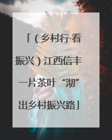 （乡村行·看振兴）江西信丰一片茶叶“沏”出乡村振兴路