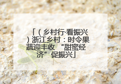（乡村行·看振兴）浙江乡村：时令果蔬迎丰收 “甜蜜经济”促振兴