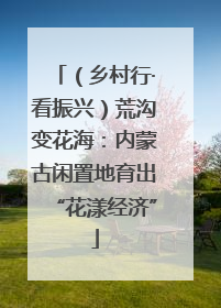 （乡村行·看振兴）荒沟变花海：内蒙古闲置地育出“花漾经济”