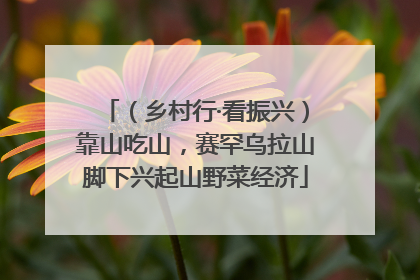 （乡村行·看振兴）靠山吃山，赛罕乌拉山脚下兴起山野菜经济