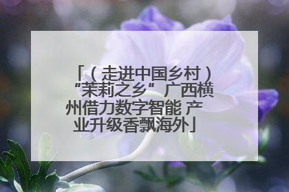 （走进中国乡村）“茉莉之乡”广西横州借力数字智能 产业升级香飘海外