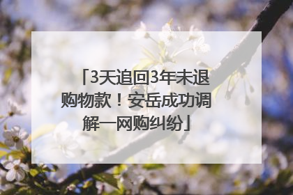 3天追回3年未退购物款！安岳成功调解一网购纠纷