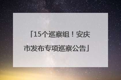 15个巡察组！安庆市发布专项巡察公告