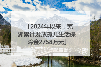 2024年以来，芜湖累计发放孤儿生活保障金2758万元