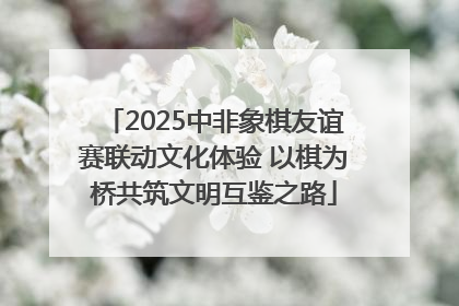 2025中非象棋友谊赛联动文化体验 以棋为桥共筑文明互鉴之路