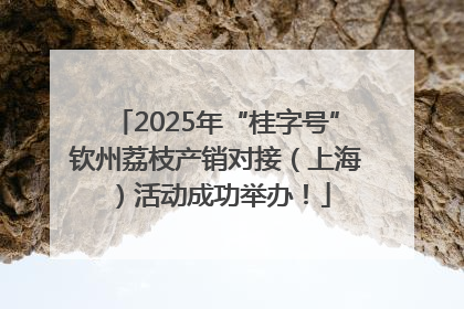 2025年“桂字号”钦州荔枝产销对接（上海）活动成功举办！