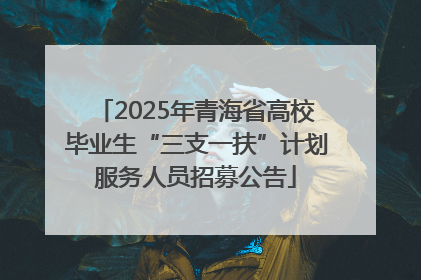 2025年青海省高校毕业生“三支一扶”计划服务人员招募公告
