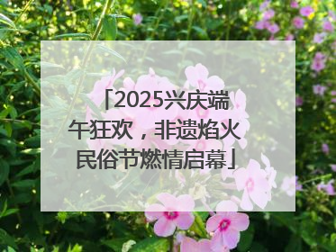 2025兴庆端午狂欢，非遗焰火民俗节燃情启幕