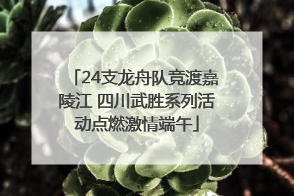 24支龙舟队竞渡嘉陵江 四川武胜系列活动点燃激情端午