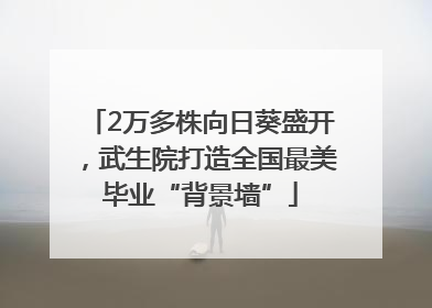 2万多株向日葵盛开，武生院打造全国最美毕业“背景墙”