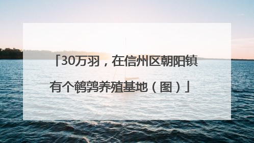 30万羽，在信州区朝阳镇有个鹌鹑养殖基地（图）