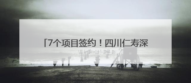 7个项目签约！四川仁寿深圳招商解锁高质量发展密码