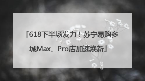 618下半场发力！苏宁易购多城Max、Pro店加速焕新