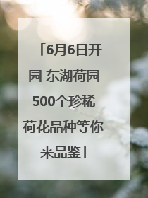 6月6日开园 东湖荷园500个珍稀荷花品种等你来品鉴