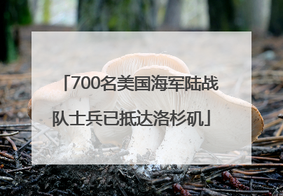700名美国海军陆战队士兵已抵达洛杉矶