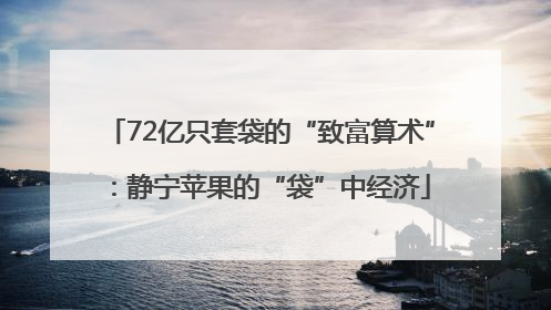 72亿只套袋的“致富算术”：静宁苹果的“袋”中经济