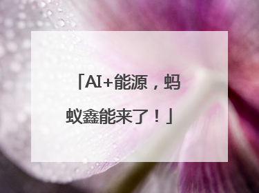 AI+能源，蚂蚁鑫能来了！