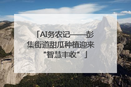AI务农记——彭集街道甜瓜种植迎来“智慧丰收”