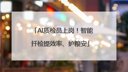 AI质检员上岗！智能扦检提效率、护粮安
